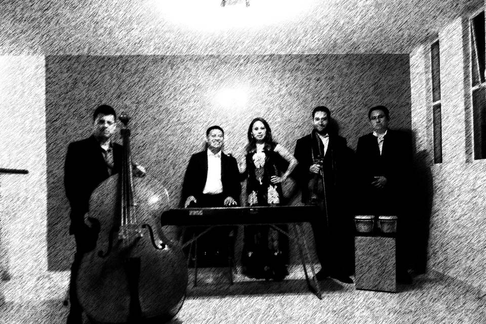 Meraki 5 Ensamble