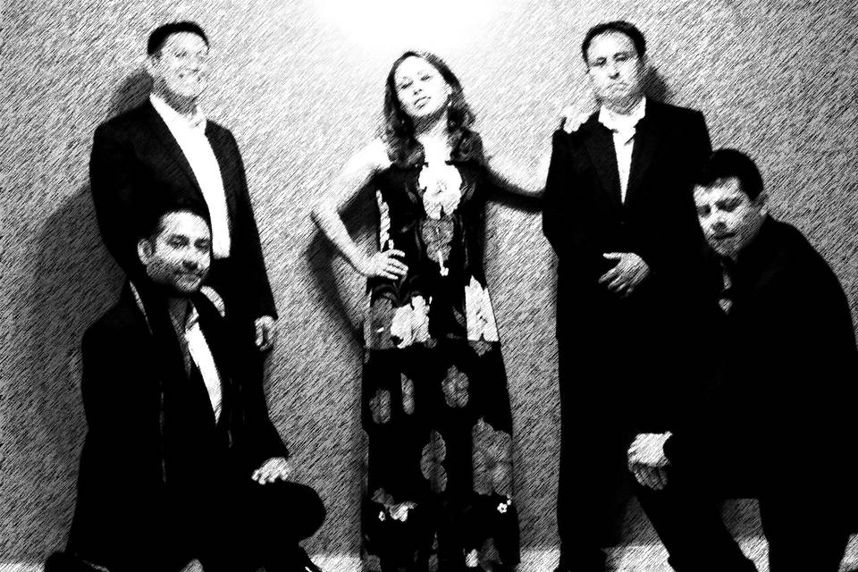 Meraki 5 Ensamble