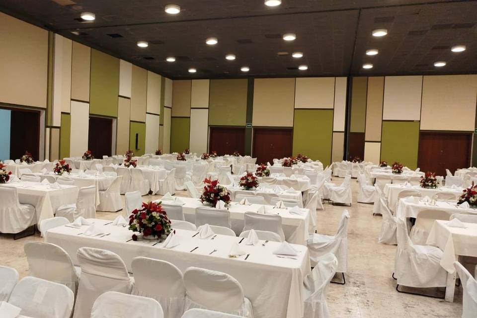 Recepcion