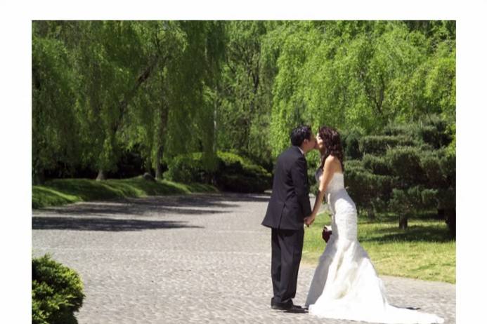 Sesión estudio para novios