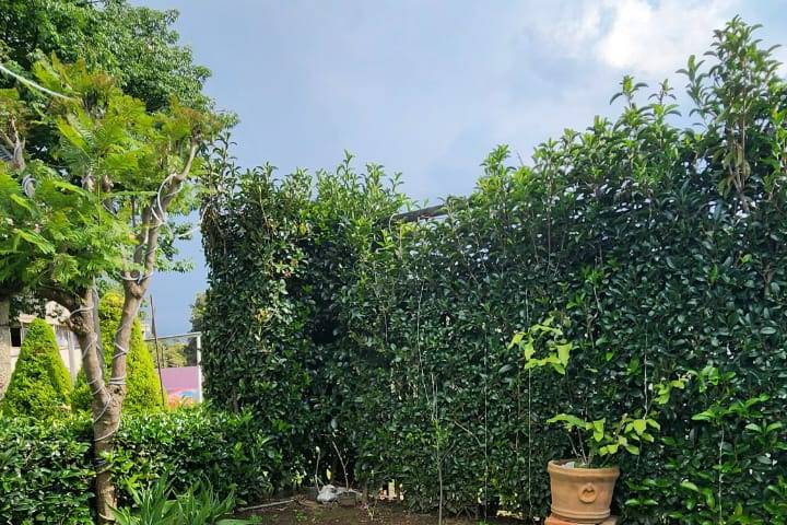 Jardin Caltonal