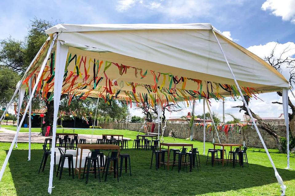 Carpa plafón liso