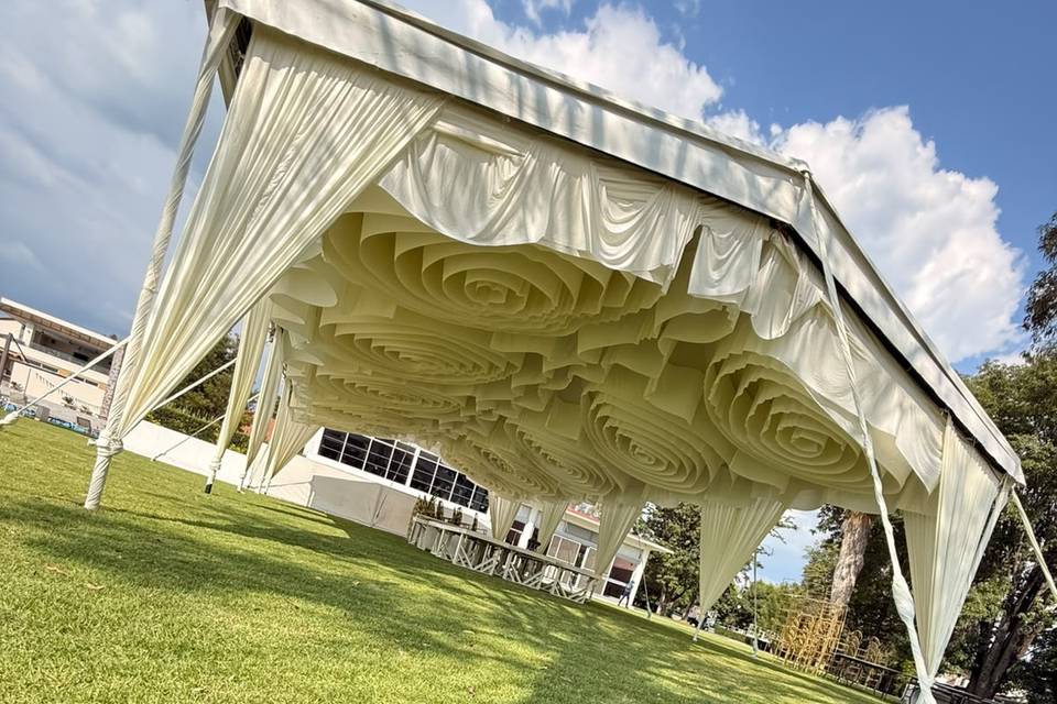 CARPA ROSETON