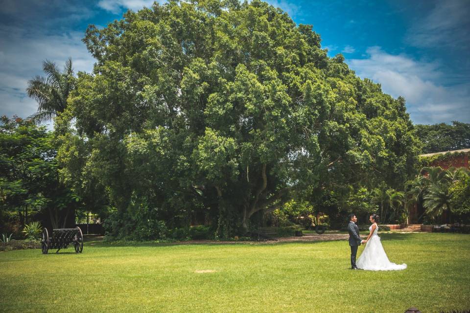 Trash the dress