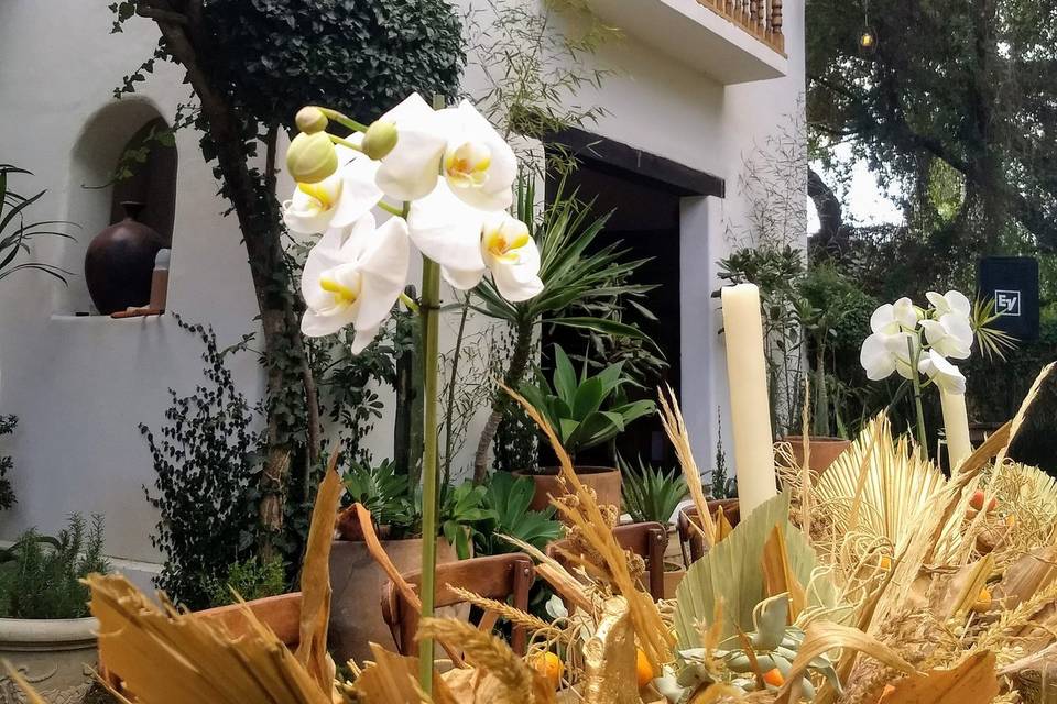 Orquídeas en centro de mesa