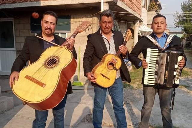 Músicos