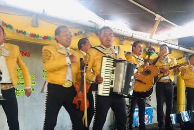 Vestidos con elegancia