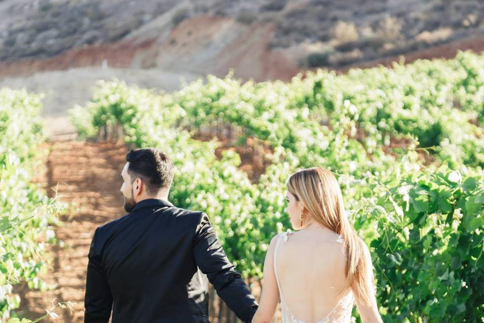 Valle de Guadalupe