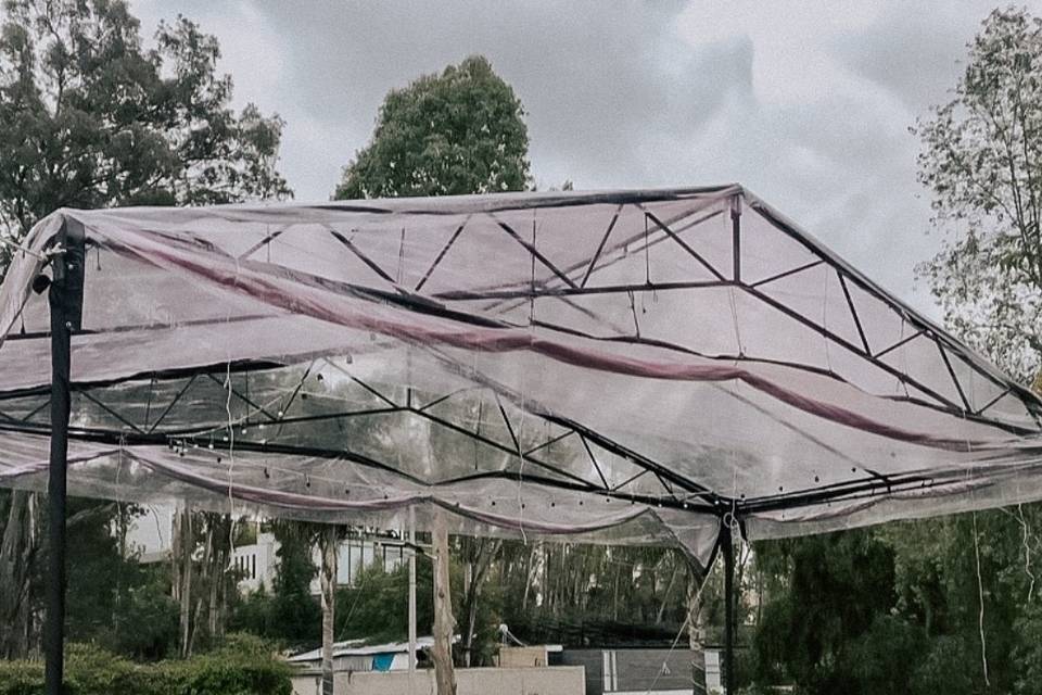 Carpa transparente