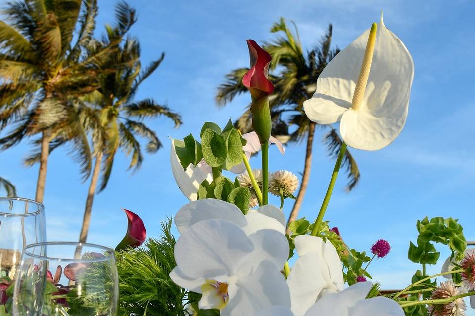 Flores