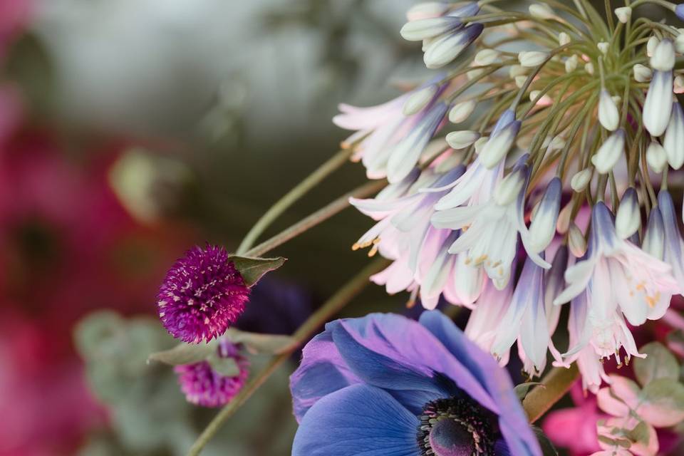 Diseño floral