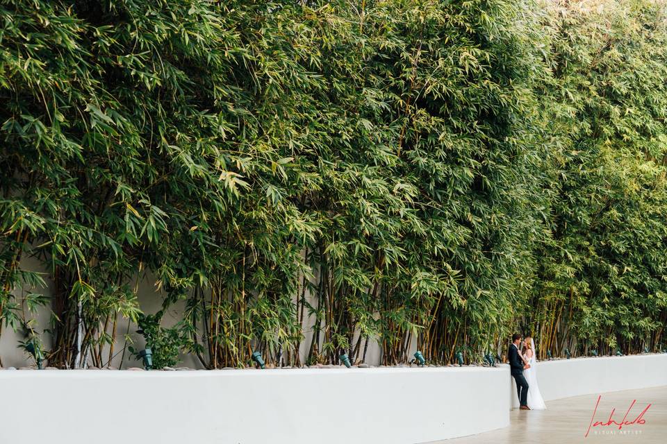 Lili y pepe (sesión preboda)