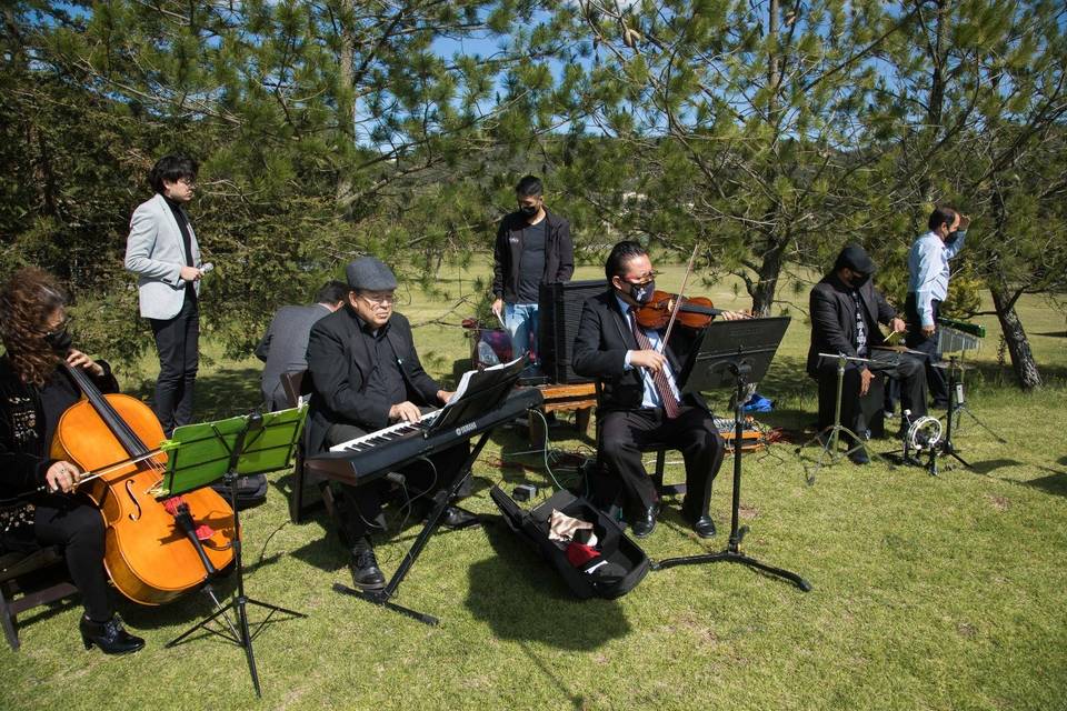 Organización de eventos nupciales