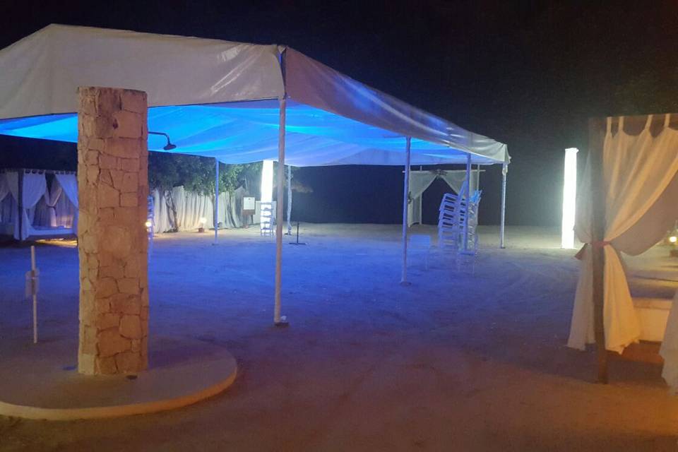 Carpa 8 x 15