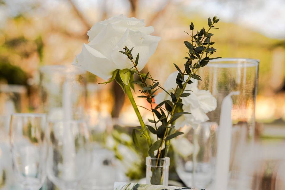 Pokonos Banquetes