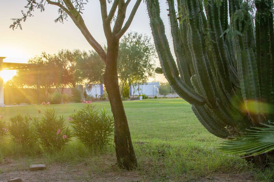 Jardín Hacienda de las Flores