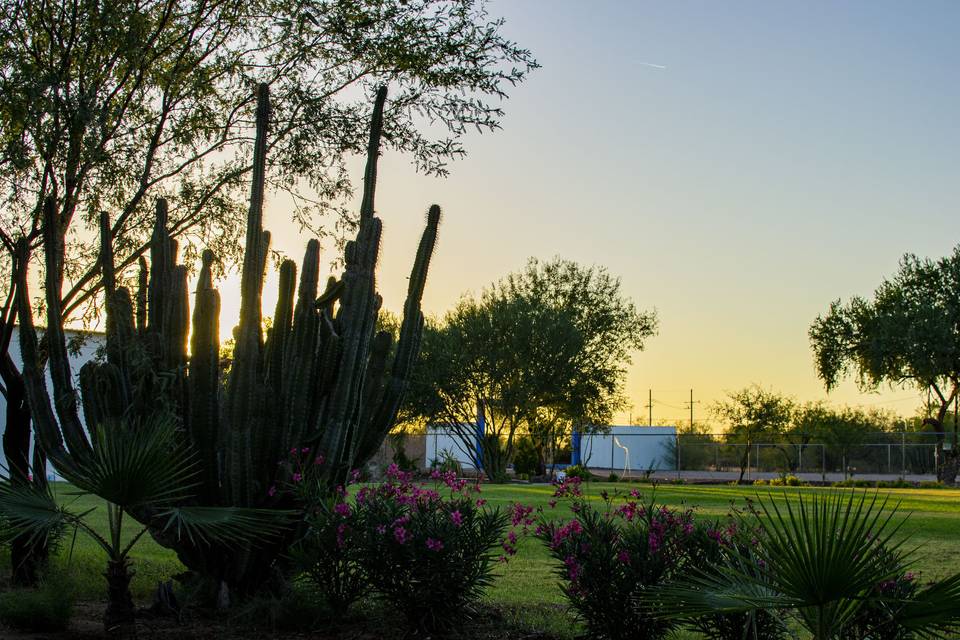 Jardín Hacienda de las Flores