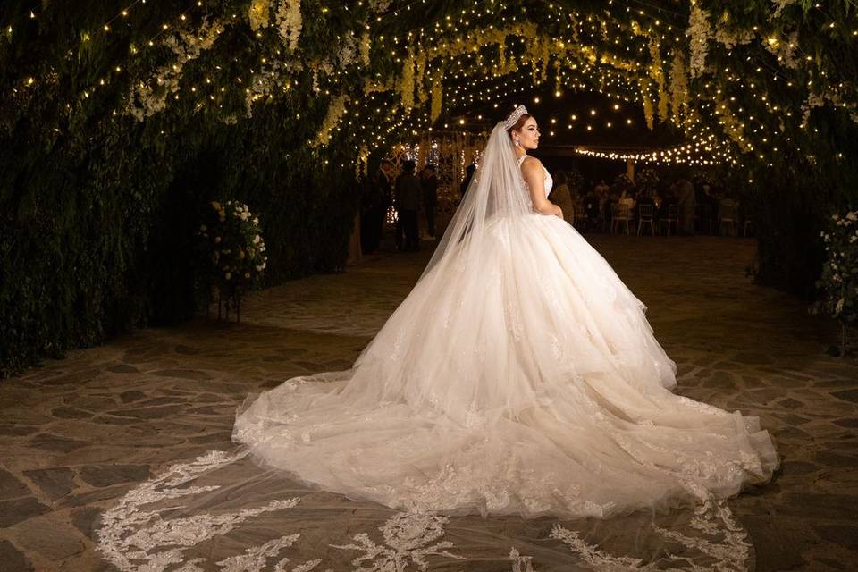 Novia de espaldas con vestido corte princesa