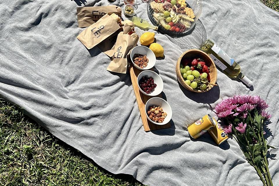 Picnic