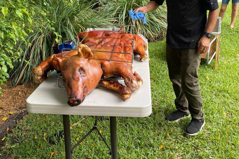 Lechón 50 personas