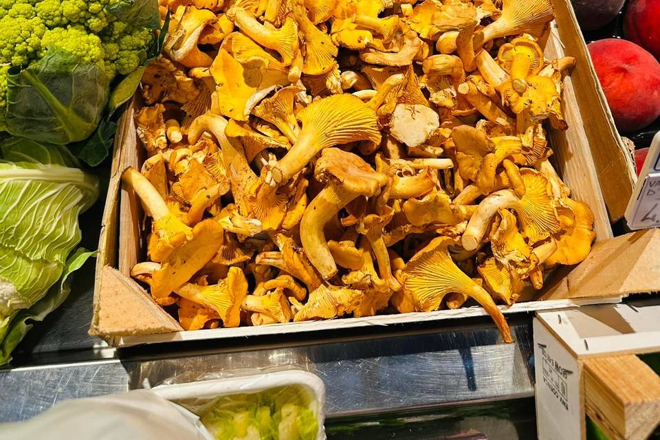 Hongos para cocinar