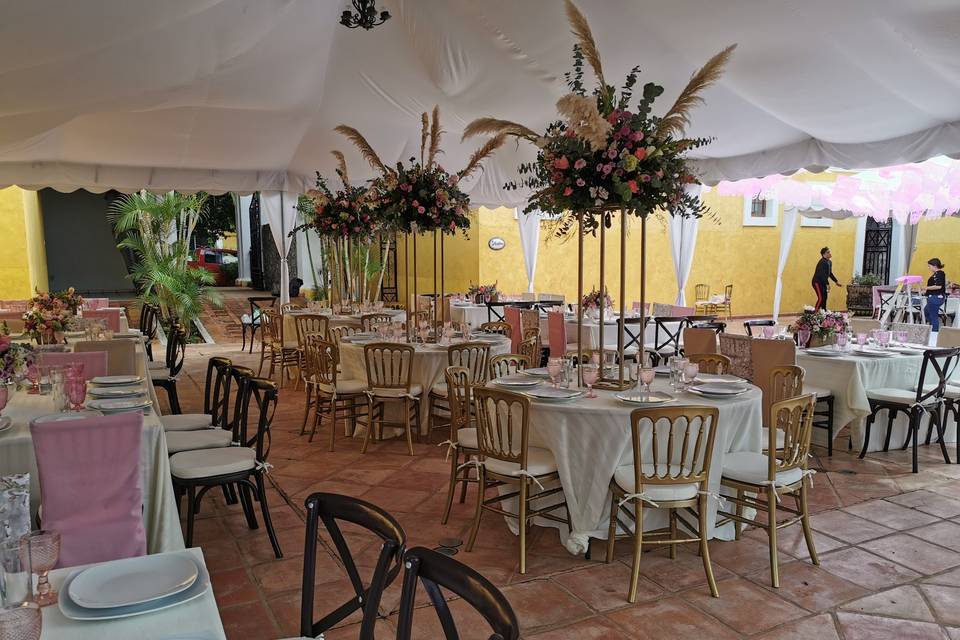 Terranova Eventos