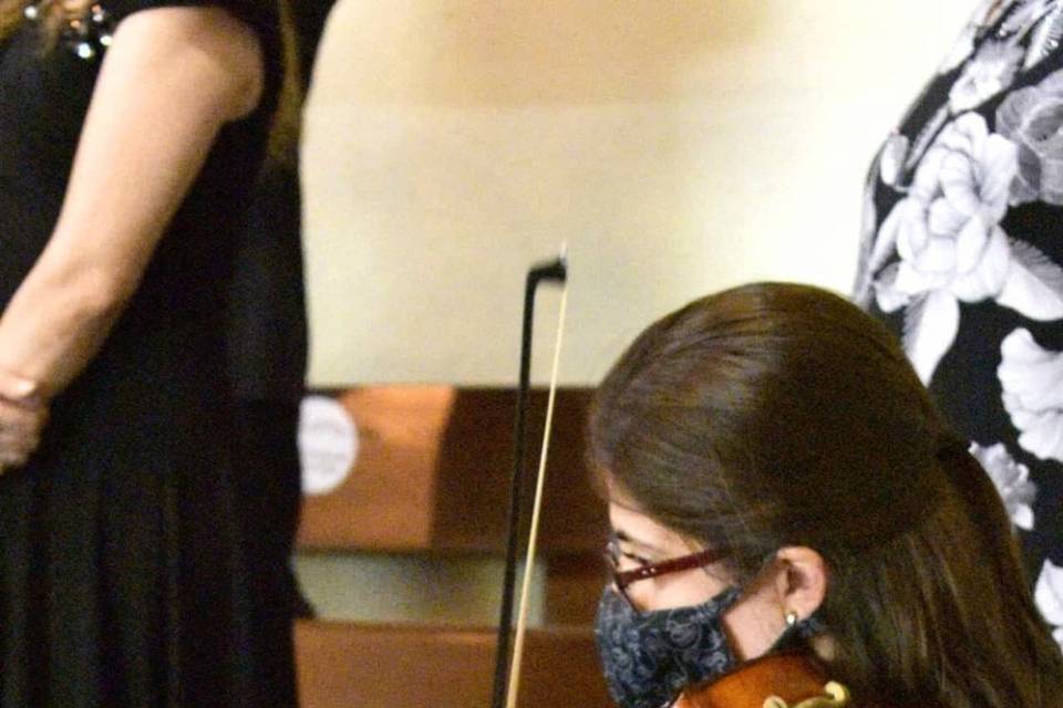 Violinista