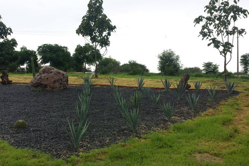 Jardín El Cascabel