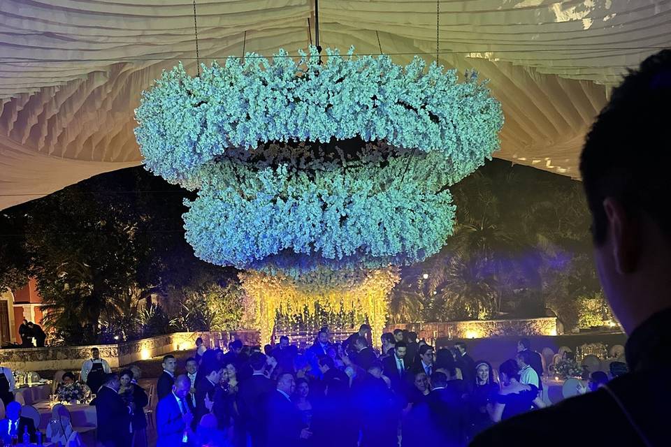 A | N Wedding