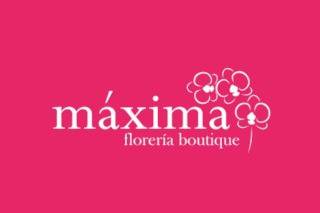 Máxima logo