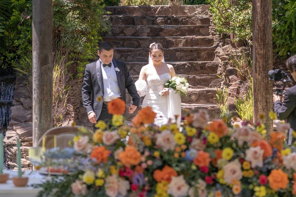 Novios
