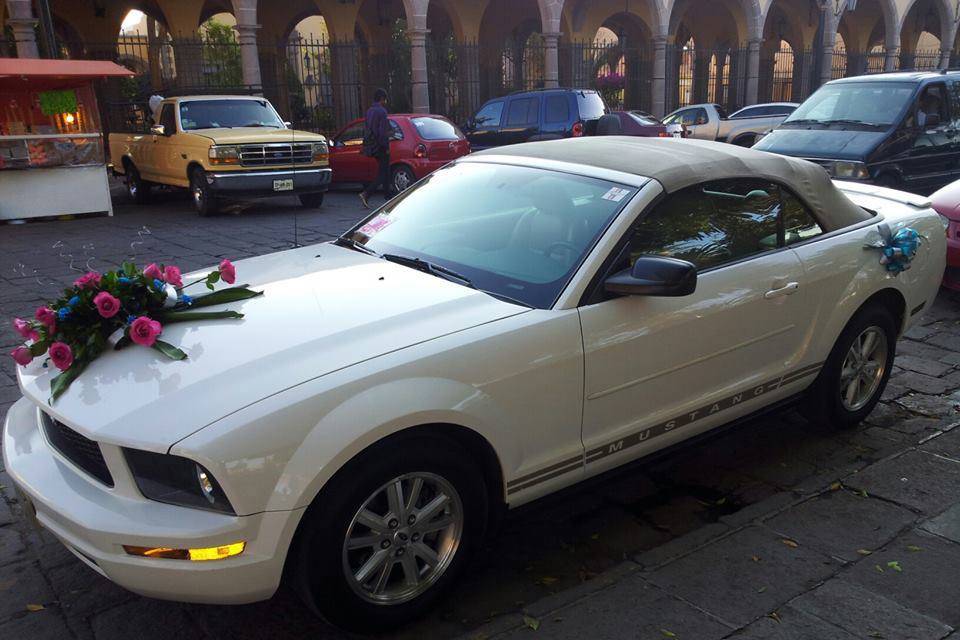 Mustang, con la capota arriba