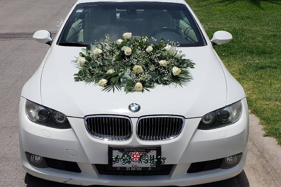 BMW 2008 convertible blanco