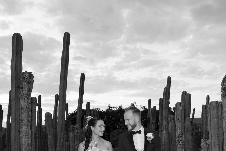 Boda destino