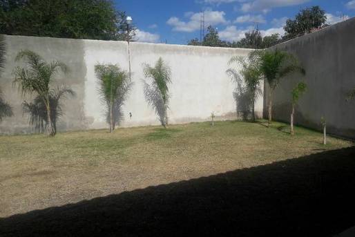 Jardin