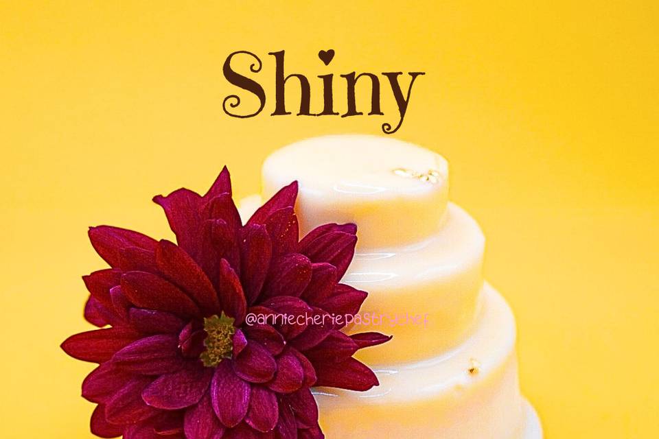 Shiny Cheesecake