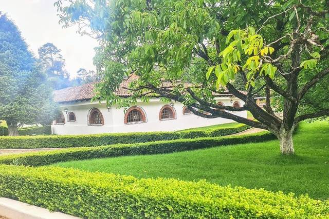 Jardineras con árboles