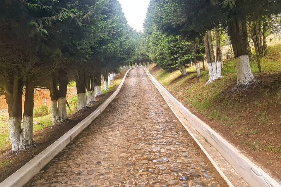 Recinto con jardín para eventos especiales