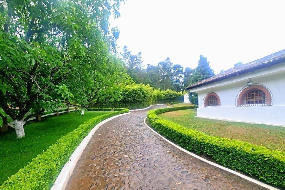 Camino de piedra con jardineras