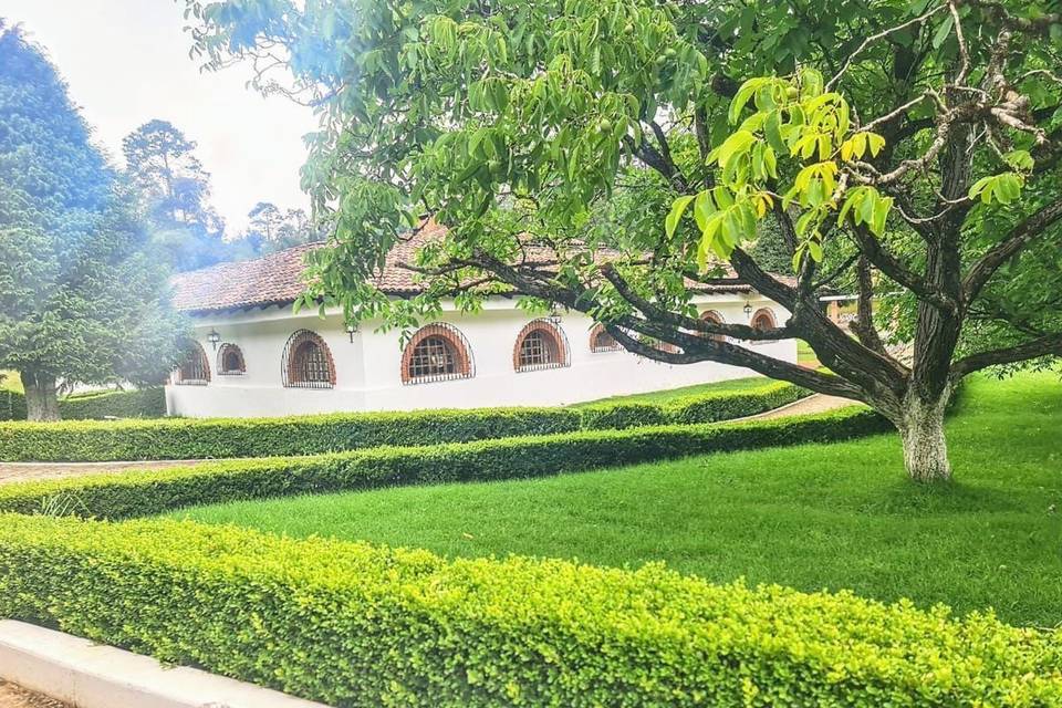 Jardineras con árboles