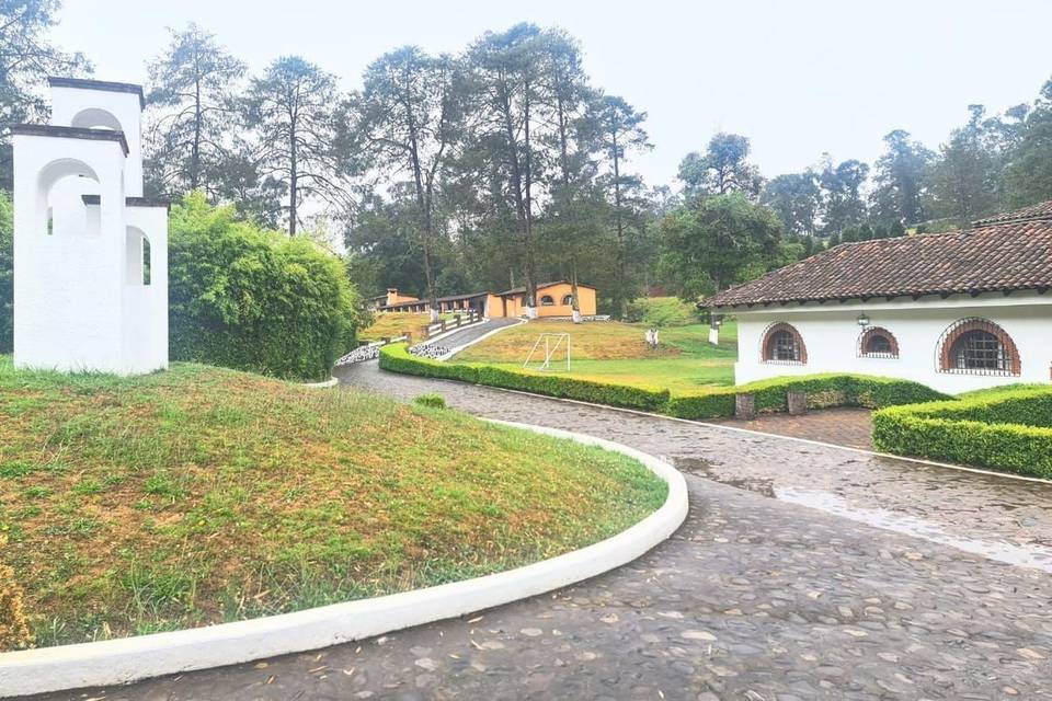 Camino y jardineras