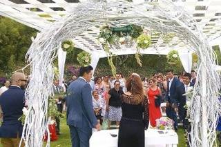 Mys Eventos Trendy