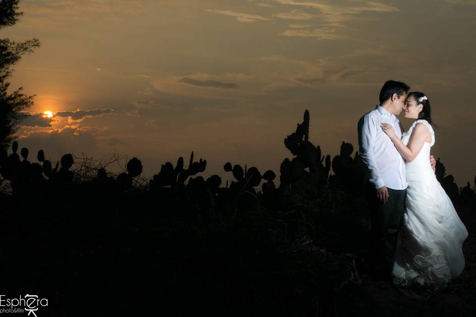 Trash the dress