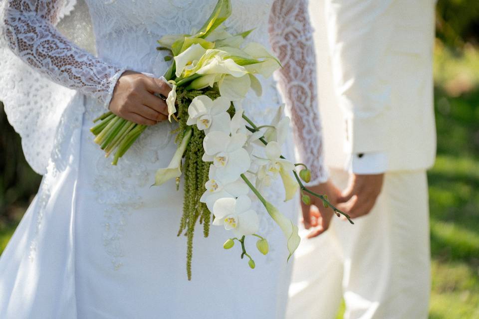 Novios