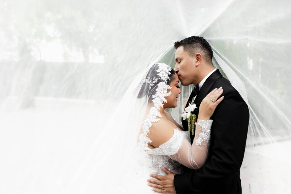 Novios