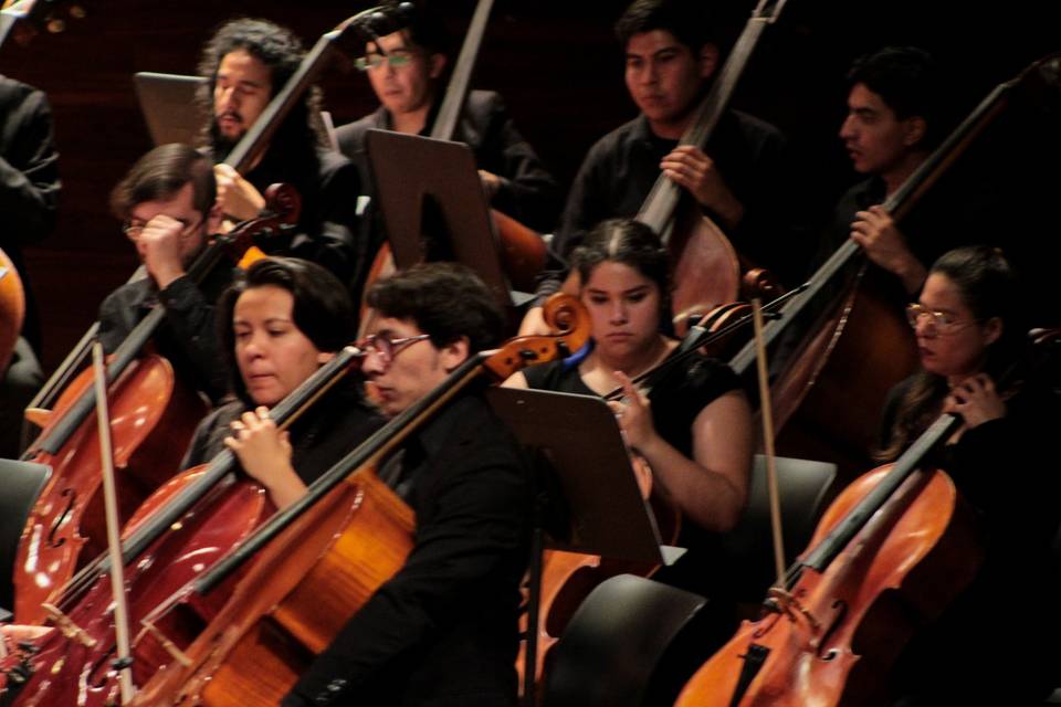 Cuarteto cuerdas