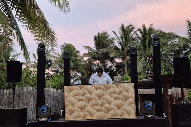 Djs evolution pampas