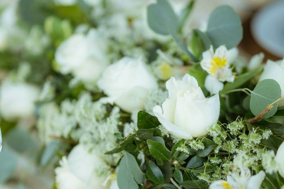 Boda I&S