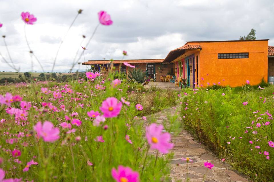 Área de habitaciones