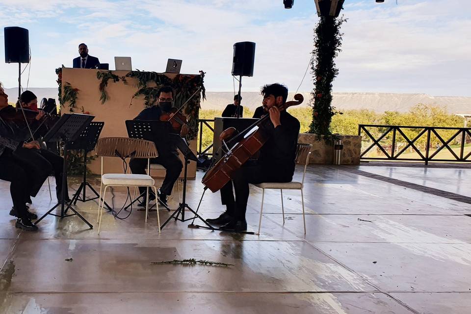 Cuarteto al aire libre